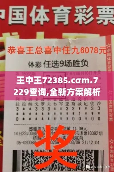 王中王72385.cσm.7229查询,全新方案解析_传统版WRJ73.19