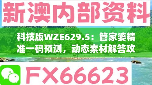 科技版WZE629.5：管家婆精准一码预测，动态素材解答攻略