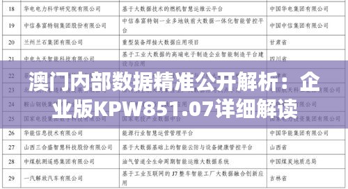 澳门内部数据精准公开解析：企业版KPW851.07详细解读