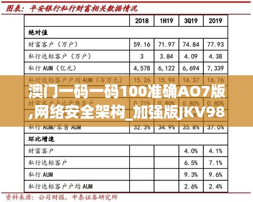 澳门一码一码100准确AO7版,网络安全架构_加强版JKV985.05