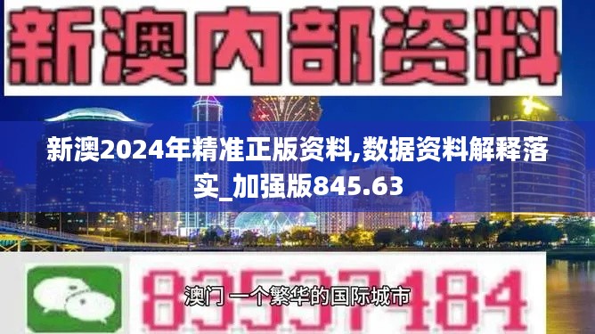 新澳2024年精准正版资料,数据资料解释落实_加强版845.63