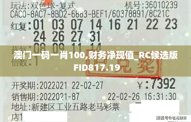 澳门一码一肖100,财务净现值_RC候选版 FID817.19