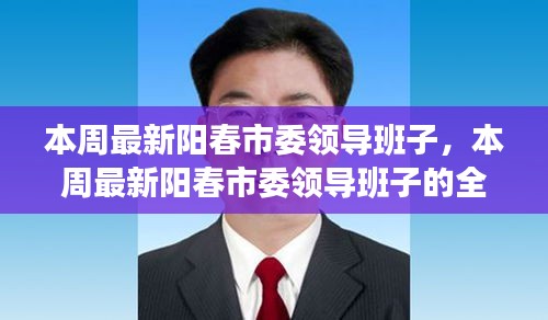 阳春市委领导班子的最新全面评测与介绍本周更新概况