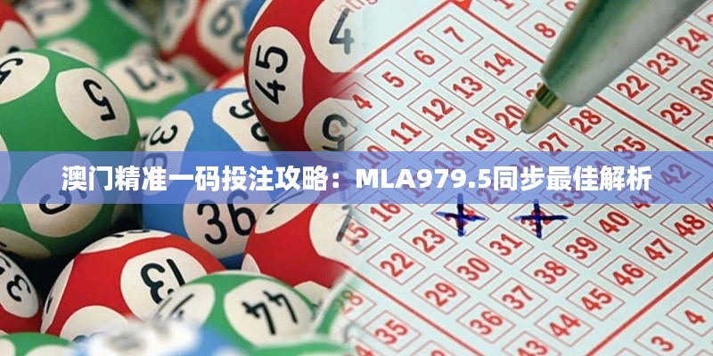 澳门精准一码投注攻略：MLA979.5同步最佳解析