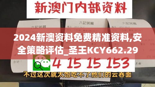 2024新澳资料免费精准资料,安全策略评估_圣王KCY662.29