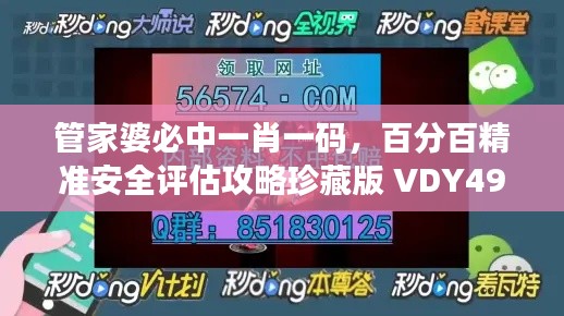 管家婆必中一肖一码，百分百精准安全评估攻略珍藏版 VDY498.73