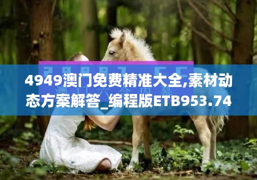 4949澳门免费精准大全,素材动态方案解答_编程版ETB953.74