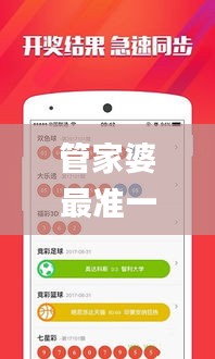 管家婆最准一码一肖100,安全解析方案_仙武境VZU790.38