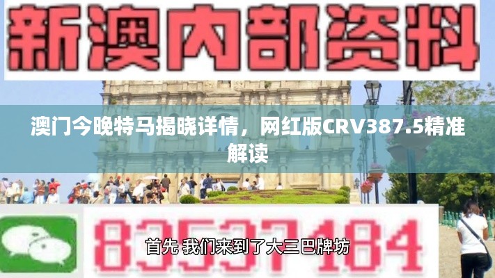 澳门今晚特马揭晓详情，网红版CRV387.5精准解读