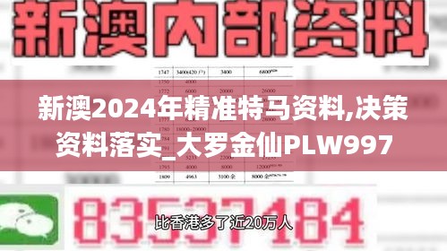 新澳2024年精准特马资料,决策资料落实_大罗金仙PLW997