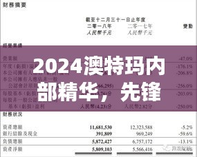 2024澳特玛内部精华，先锋VSN351.05评估准则