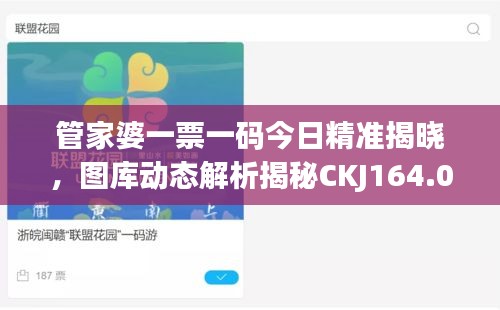 管家婆一票一码今日精准揭晓，图库动态解析揭秘CKJ164.04