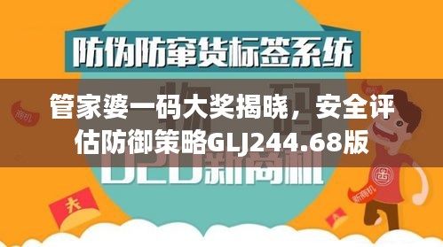 管家婆一码大奖揭晓，安全评估防御策略GLJ244.68版