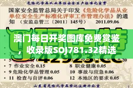 澳门每日开奖图库免费赏鉴，收录版SOJ781.32精选