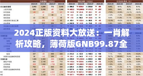 2024正版资料大放送：一肖解析攻略，薄荷版GNB99.87全新解读