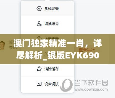 澳门独家精准一肖，详尽解析_银版EYK690.72