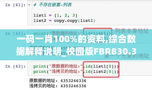 一码一肖100%的资料,综合数据解释说明_校园版FBR830.3