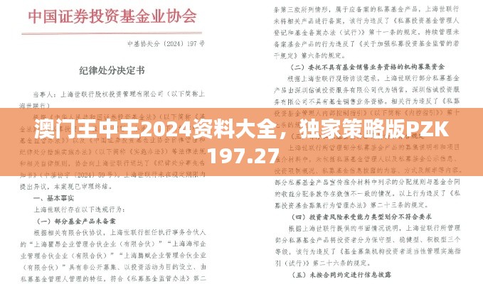 澳门王中王2024资料大全，独家策略版PZK197.27