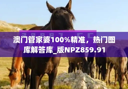 澳门管家婆100%精准，热门图库解答库_版NPZ859.91