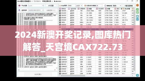 2024新澳开奖记录,图库热门解答_天宫境CAX722.73