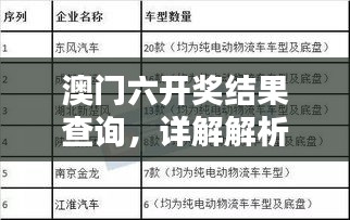 澳门六开奖结果查询，详解解析公开资料QIX604.58