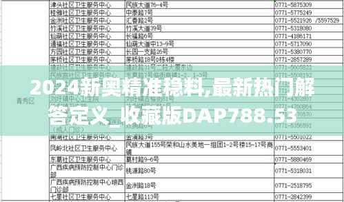 2024新奥精准稳料,最新热门解答定义_收藏版DAP788.53