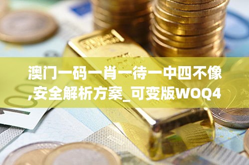 澳门一码一肖一待一中四不像,安全解析方案_可变版WOQ438.78