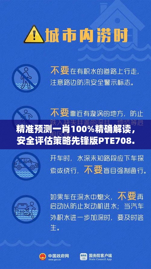 精准预测一肖100%精确解读，安全评估策略先锋版PTE708.92详解