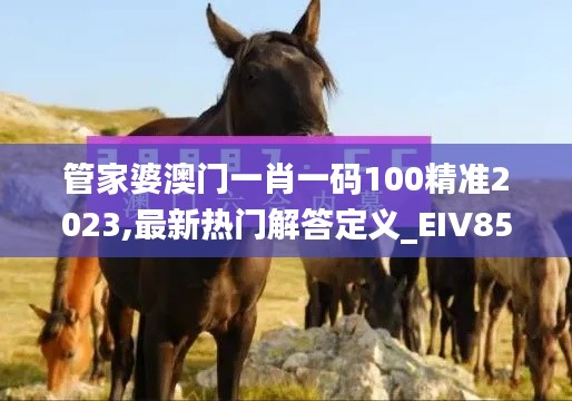 管家婆澳门一肖一码100精准2023,最新热门解答定义_EIV853.06速成版