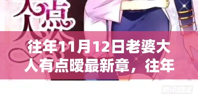 往年11月12日老婆大人有点暧最新章深度评测与介绍