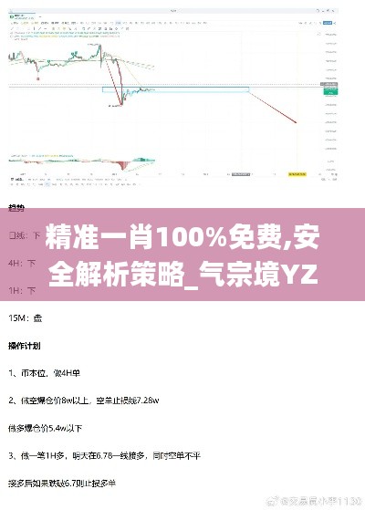 精准一肖100%免费,安全解析策略_气宗境YZG411.57