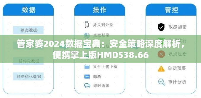 管家婆2024数据宝典：安全策略深度解析，便携掌上版HMD538.66