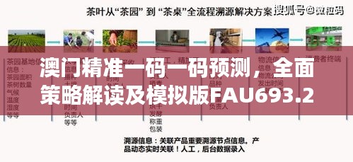 澳门精准一码一码预测，全面策略解读及模拟版FAU693.28展示