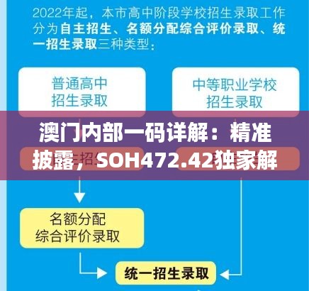 澳门内部一码详解：精准披露，SOH472.42独家解析