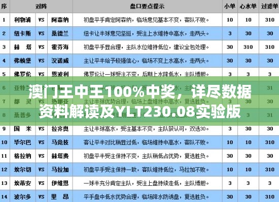 澳门王中王100%中奖，详尽数据资料解读及YLT230.08实验版