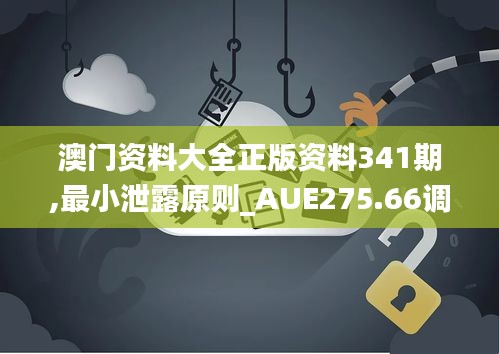 澳门资料大全正版资料341期,最小泄露原则_AUE275.66调整版