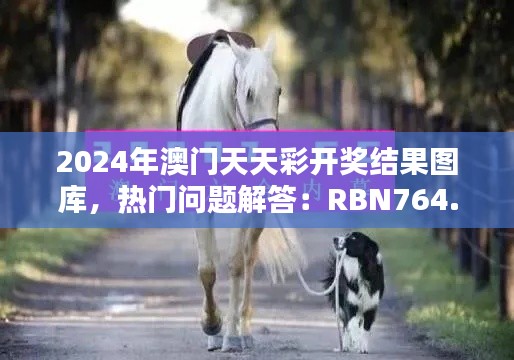 2024年澳门天天彩开奖结果图库，热门问题解答：RBN764.88版