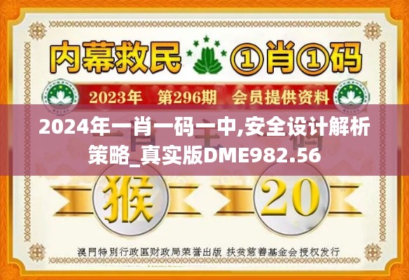 2024年一肖一码一中,安全设计解析策略_真实版DME982.56