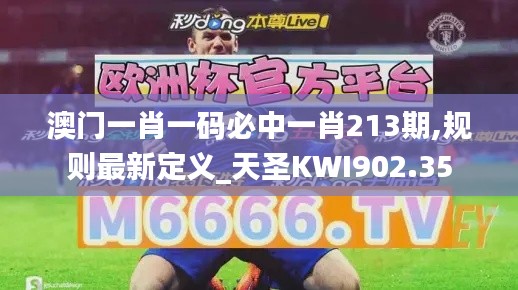 澳门一肖一码必中一肖213期,规则最新定义_天圣KWI902.35