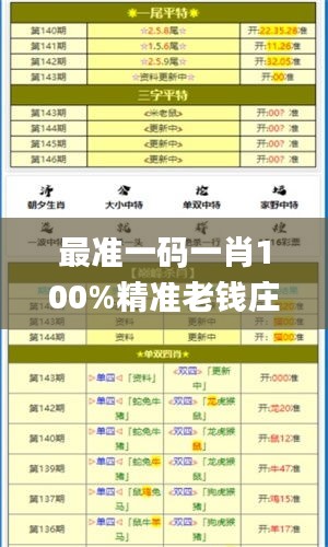 最准一码一肖100%精准老钱庄揭秘,专业执行问题_测试版144.21