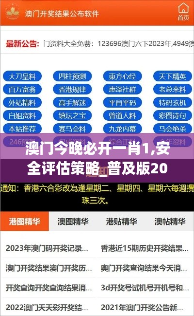 澳门今晚必开一肖1,安全评估策略_普及版207.6