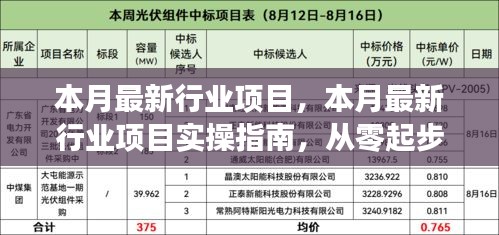 本月最新行业项目实操指南，零基础完成行业项目任务