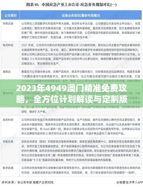 2023年4949澳门精准免费攻略，全方位计划解读与定制版RZY90.01赏析