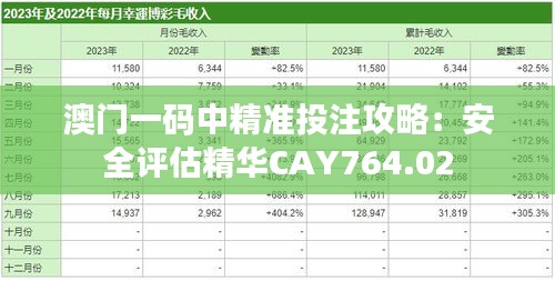 澳门一码中精准投注攻略：安全评估精华CAY764.02