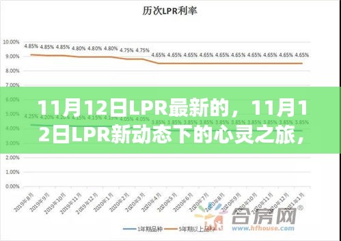 11月12日LPR新动态下的心灵与自然美景之旅，一场不解之缘的探寻