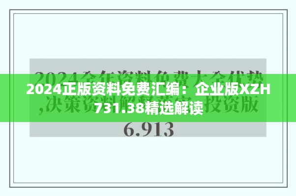 2024正版资料免费汇编：企业版XZH731.38精选解读