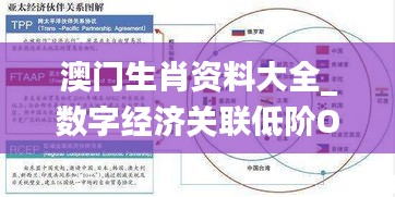 澳门生肖资料大全_数字经济关联低阶OHA251.21