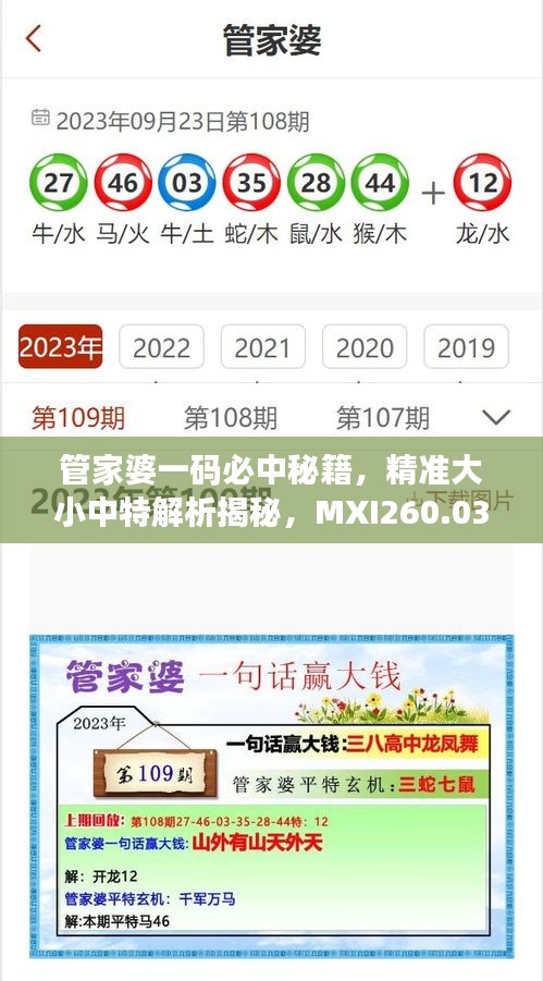 管家婆一码必中秘籍，精准大小中特解析揭秘，MXI260.03特别版攻略