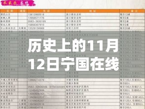 历史上的宁国在线最新招聘岗位深度解析与介绍，11月12日岗位速递