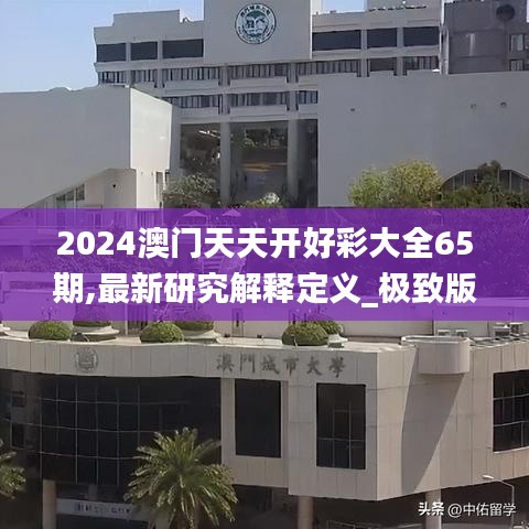 2024澳门天天开好彩大全65期,最新研究解释定义_极致版XNH195.41